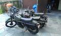 IMAG0087